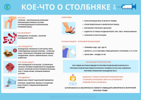 Всемирная неделя иммунизации Всемирная неделя иммунизации.
